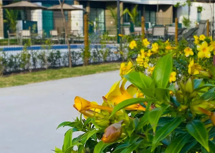 Studio De Luxo Em Muro Alto - Makia Beach A209 Pôrto das Galinhas